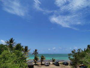 Parking et cocotiers devant le lagon turquoise du spot de petit saline en Guadeloupe